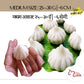 10 PIECE PLEATED - खाचेदार